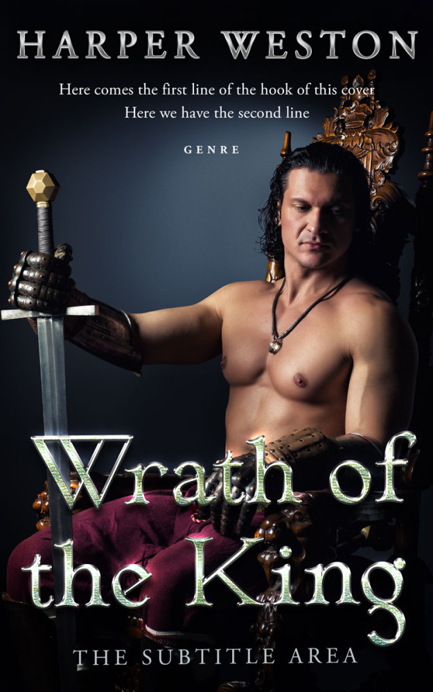 Front view of Woodsmoke #23850 - Premade Erotica Book Cover