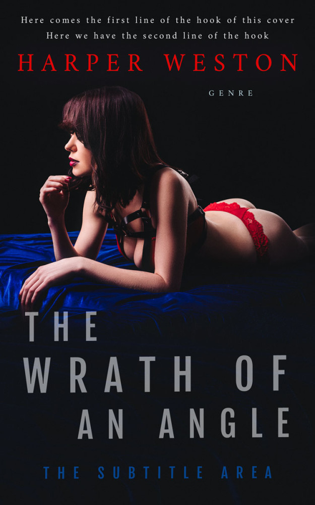 Front view of Woodsmoke #23952 - Premade Erotica Book Cover