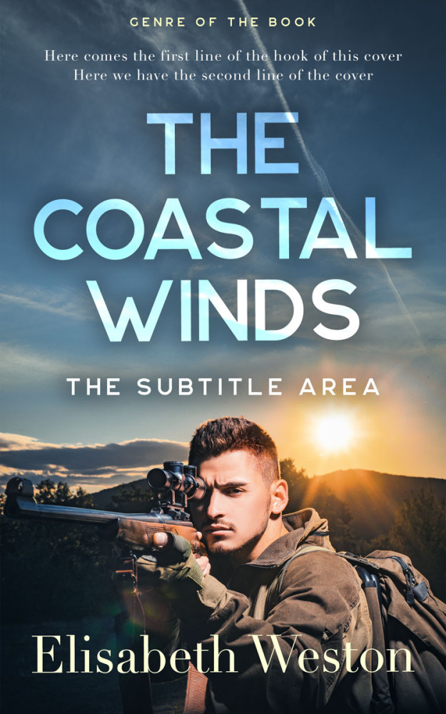 Front view of Shuttle Gray #24038 - Premade Mystery & Thriller & Suspense Book Cover