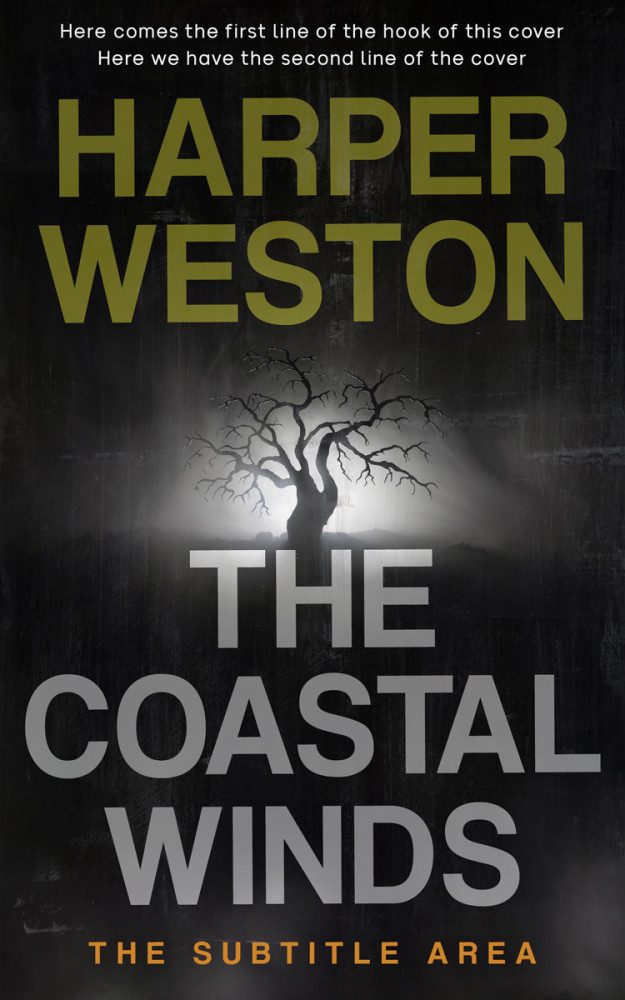 Front view of Cod Gray #24093 - Premade Horror Book Cover