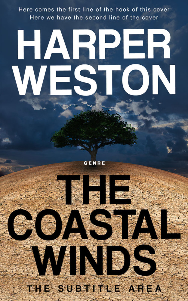 Front view of Ebony Clay #24099 - Premade Surreal Book Cover