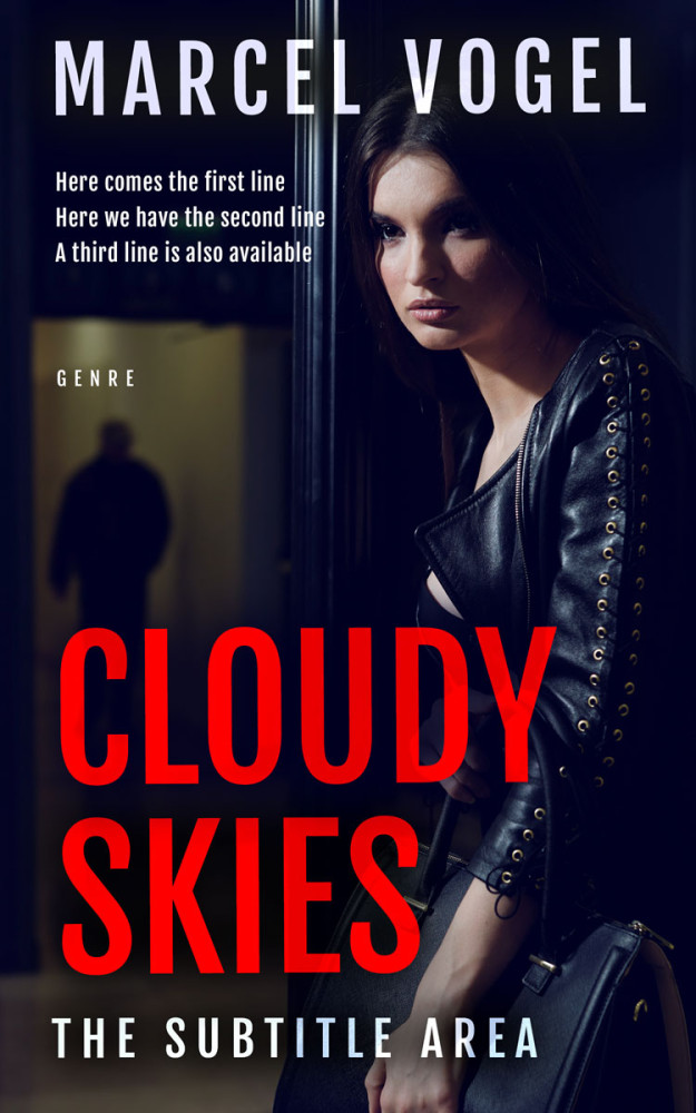 Front view of Ebony #24346 - Premade Chick Lit Book Cover