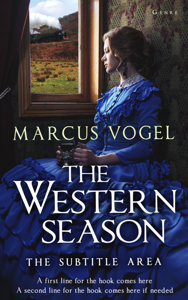 Front view of Steel Gray #24596 - Premade Historical Book Cover