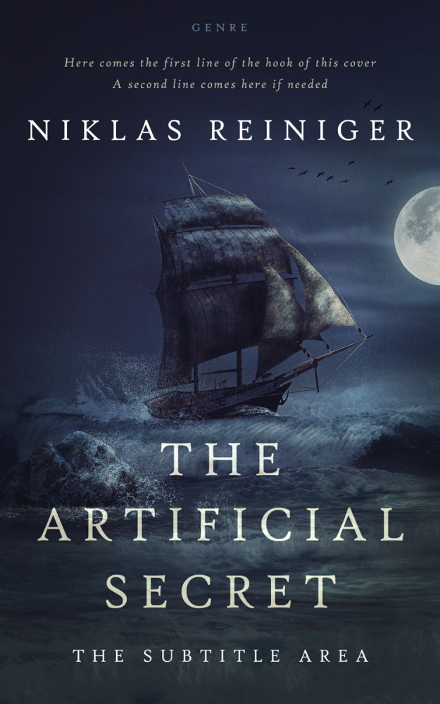 Front view of Ebony Clay #24829 - Premade Historical Book Cover