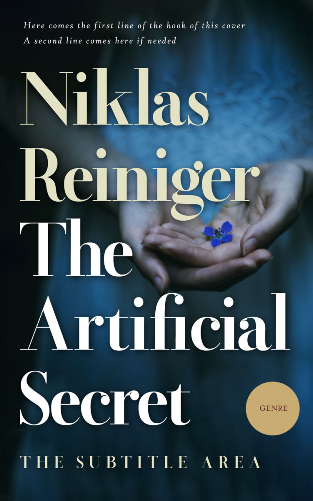 Front view of Big Stone #24854 - Premade Literary Fiction Book Cover