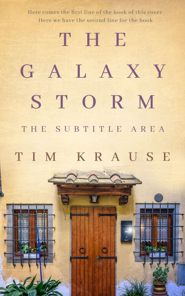 Front view of Raffia #25352 - Premade Literary Fiction Book Cover