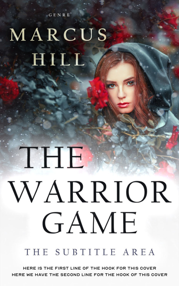 Front view of Ship Gray #25549 - Premade Fantasy Book Cover