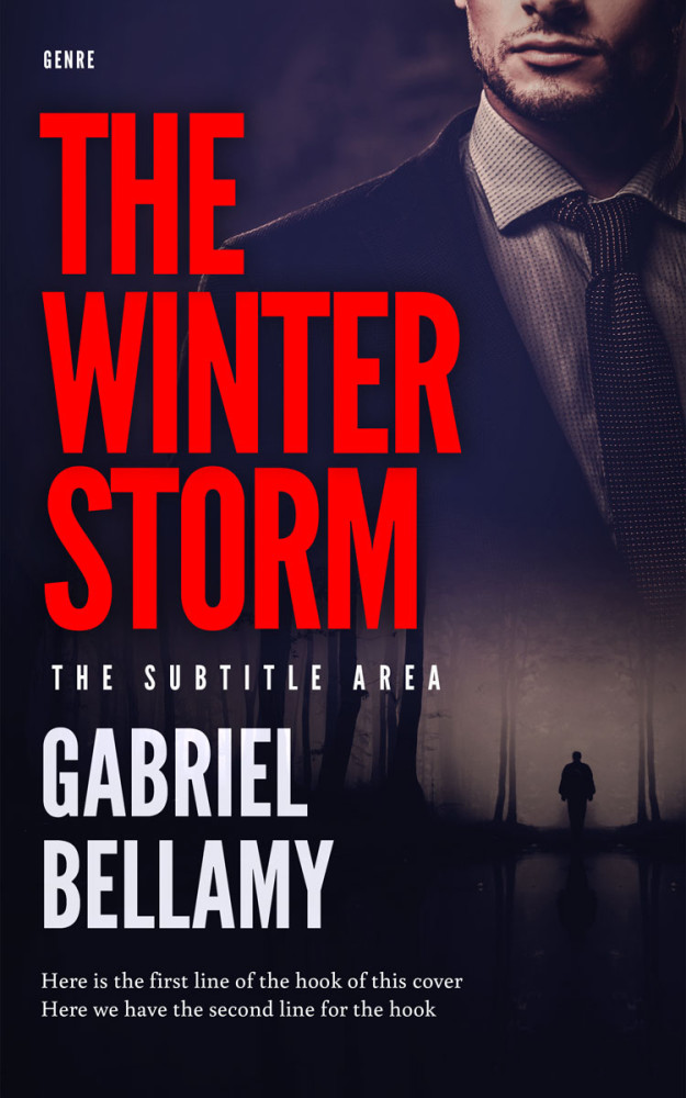 Front view of Flamingo #25912 - Premade Mystery & Thriller & Suspense Book Cover