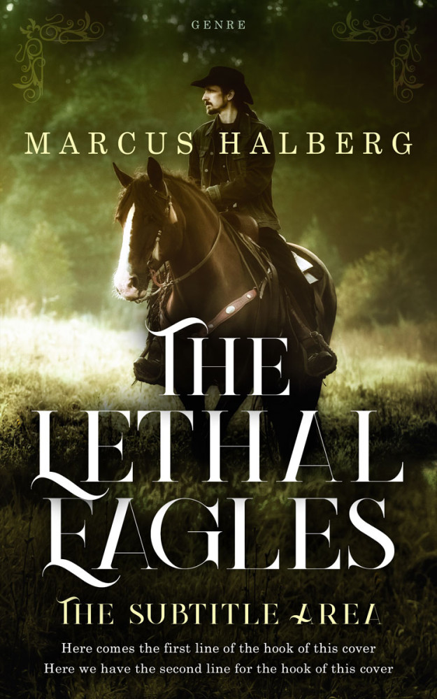 Front view of Mikado #27350 - Premade Action & Adventure Book Cover