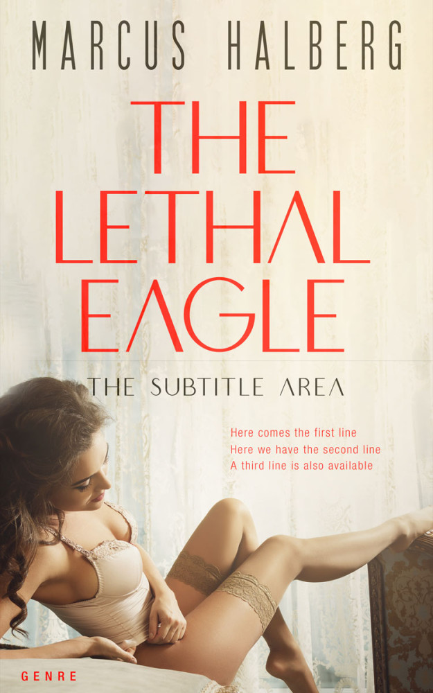 Front view of White Rock #27366 - Premade Erotica Book Cover | BookCoverZone