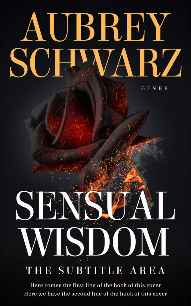 Front view of Thunder #27533 - Premade Romance Book Cover