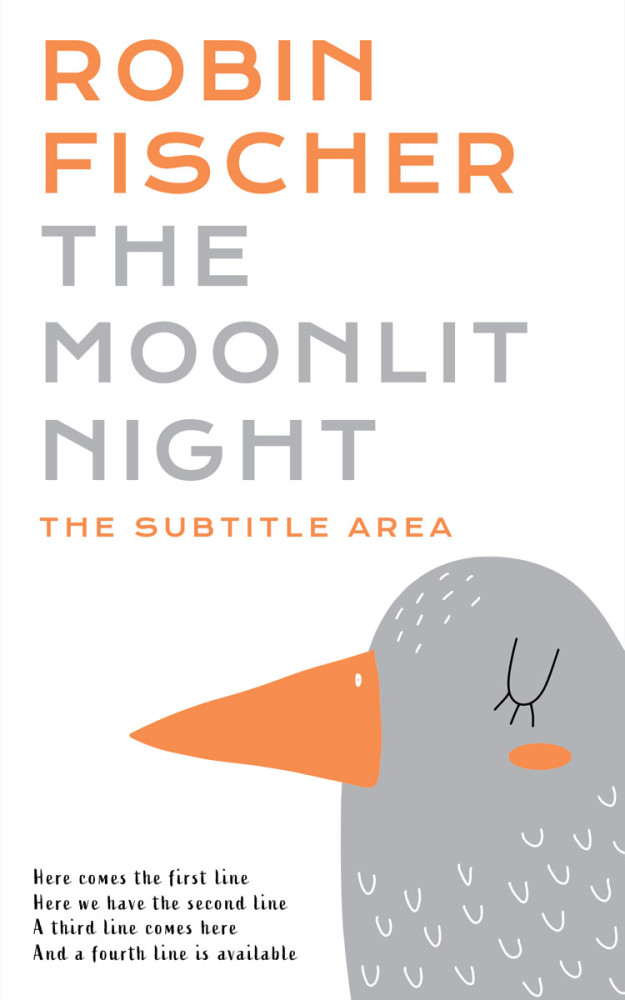 Front view of Silver #28160 - Premade Teen & Young Adult Book Cover