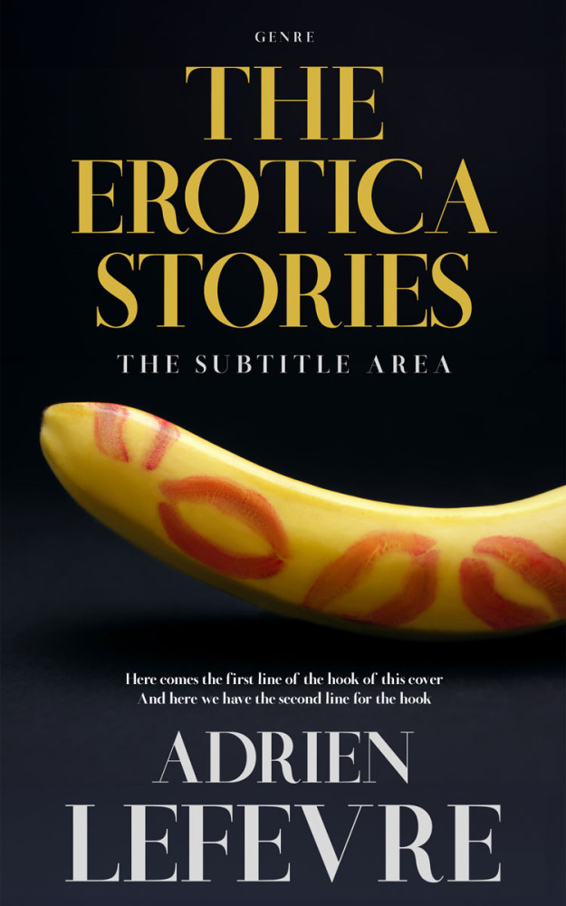 Front view of Sundance #29284 - Premade Erotica Book Cover