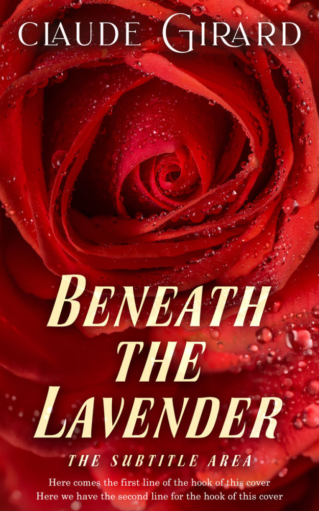 Front view of Dark Burgundy #29796 - Premade Romance Book Cover