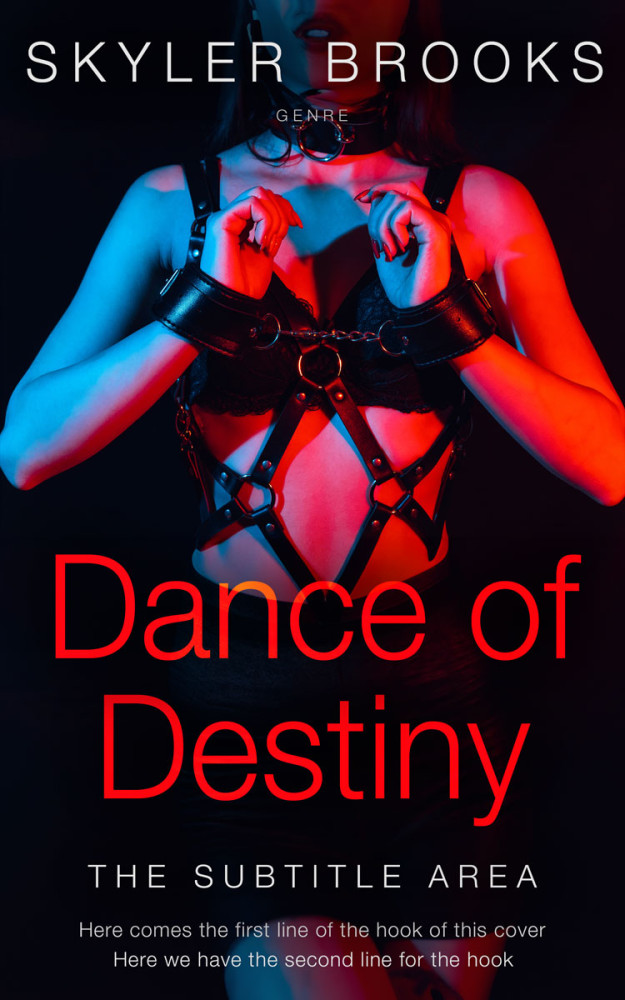 Front view of Punch #30181 - Premade Erotica Book Cover