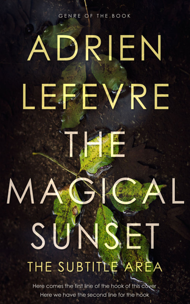 Front view of Zeus #30643 - Premade Fantasy Book Cover