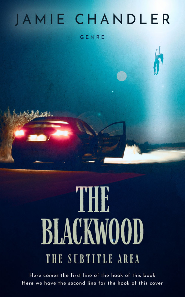 Front view of Loblolly #31345 - Premade Mystery & Thriller & Suspense Book Cover