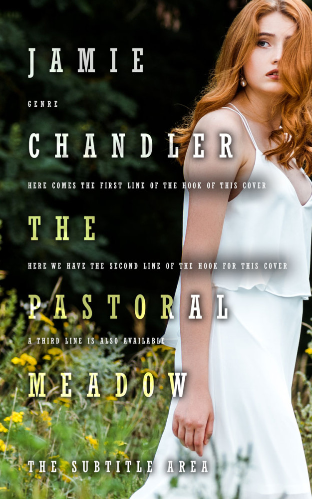 Front view of Moon Mist #31476 - Premade Romance Book Cover