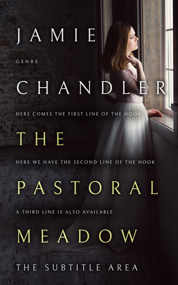 Front view of Cod Gray #31478 - Premade Romance Book Cover