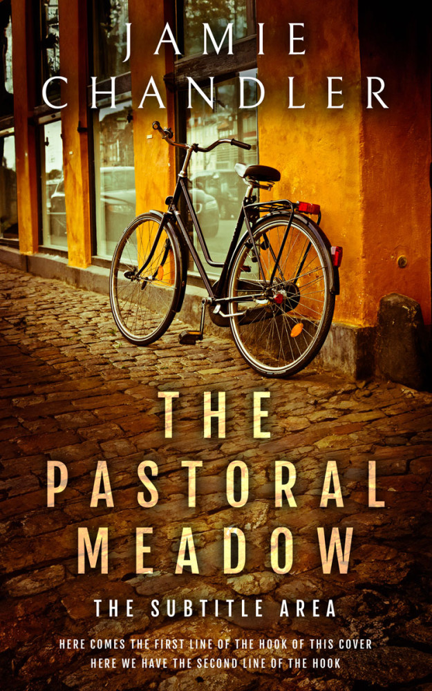 Front view of Bronze #31509 - Premade Literary Fiction Book Cover