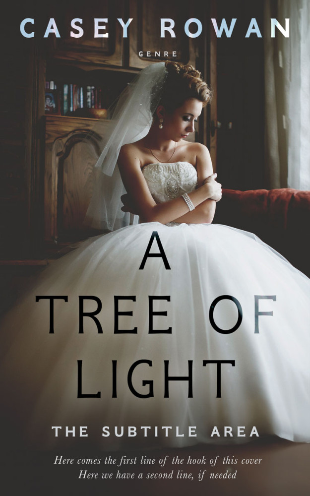 Front view of Merlin #31920 - Premade Romance Book Cover