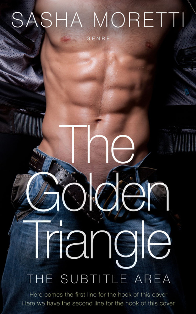 Front view of Baltic Sea #32231 - Premade Erotica Book Cover