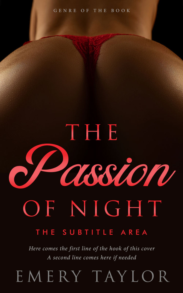 Front view of Graphite #32436 - Premade Erotica Book Cover