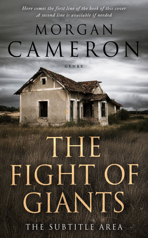 Front view of Armadillo #33021 - Premade Mystery & Thriller & Suspense Book Cover