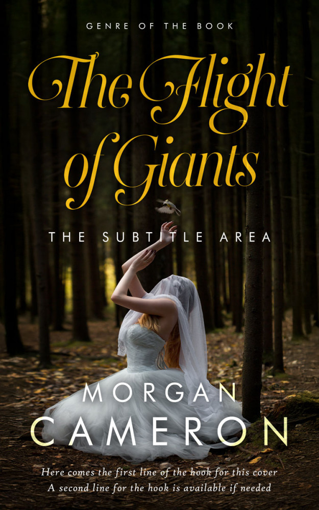 Front view of Eternity #33080 - Premade Paranormal & Urban Book Cover