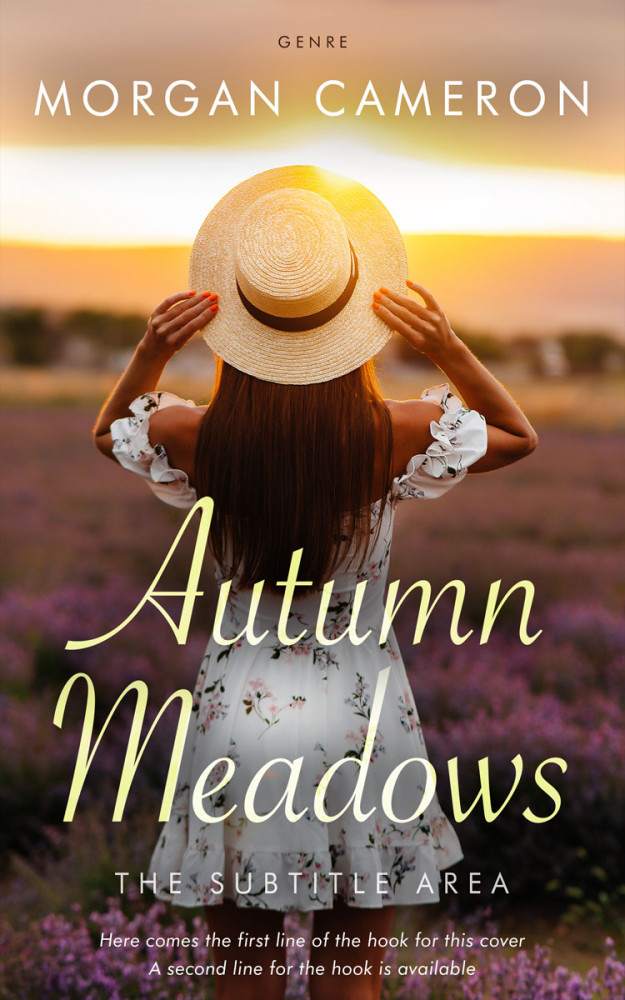 Front view of Rock #33121 - Premade Romance Book Cover