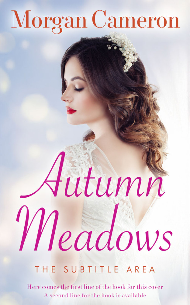 Front view of Mischka #33127 - Premade Romance Book Cover