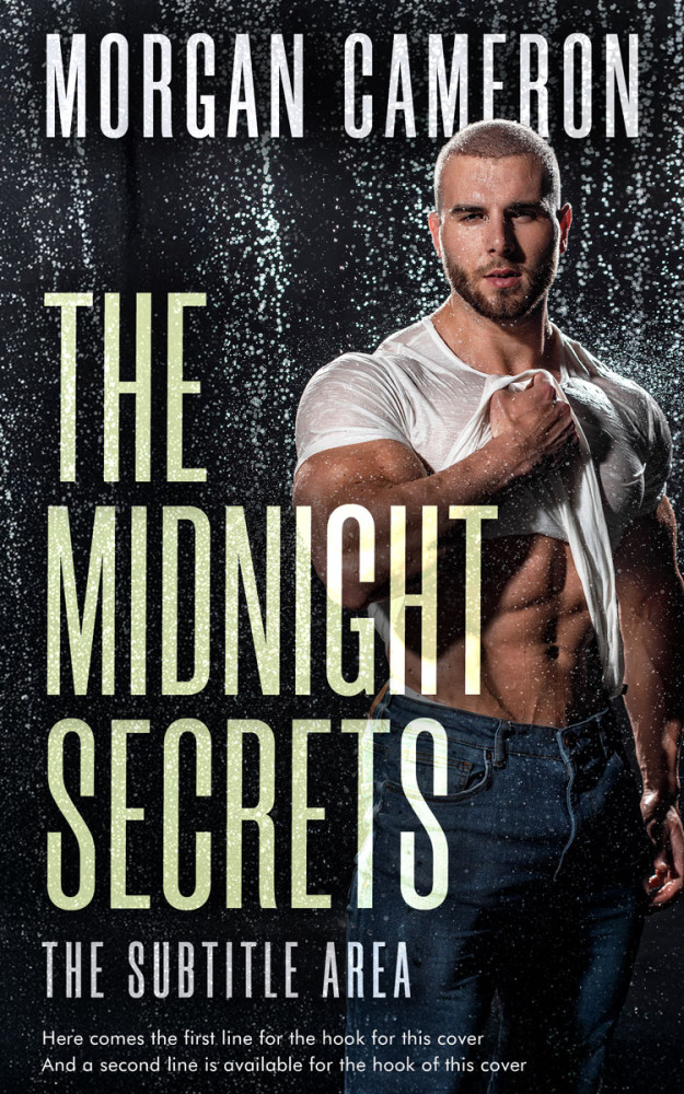 Front view of Foggy Gray #33173 - Premade Erotica Book Cover