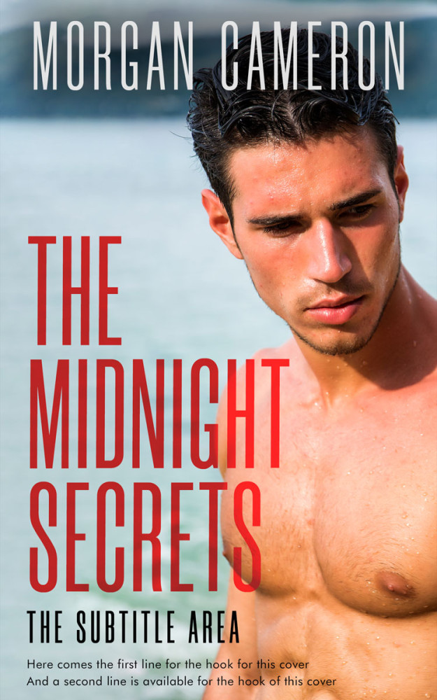 Front view of Sisal #33175 - Premade Erotica Book Cover