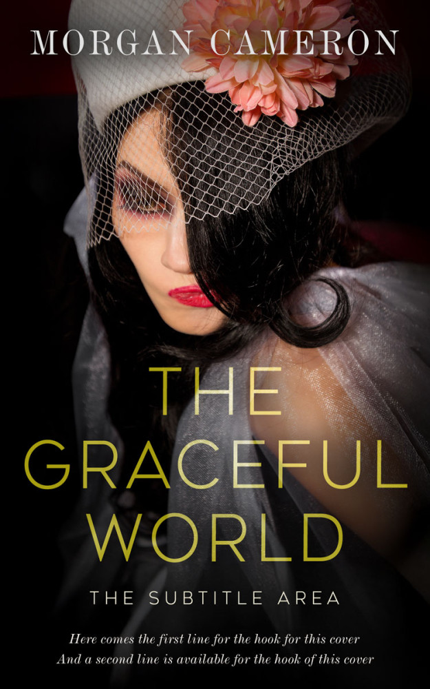 Front view of Teak #33230 - Premade Mystery & Thriller & Suspense Book Cover