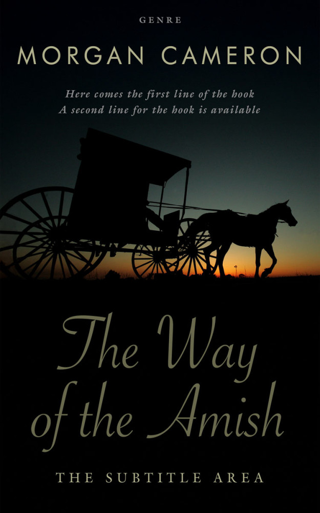 Front view of Woodsmoke #33276 - Premade Historical Book Cover