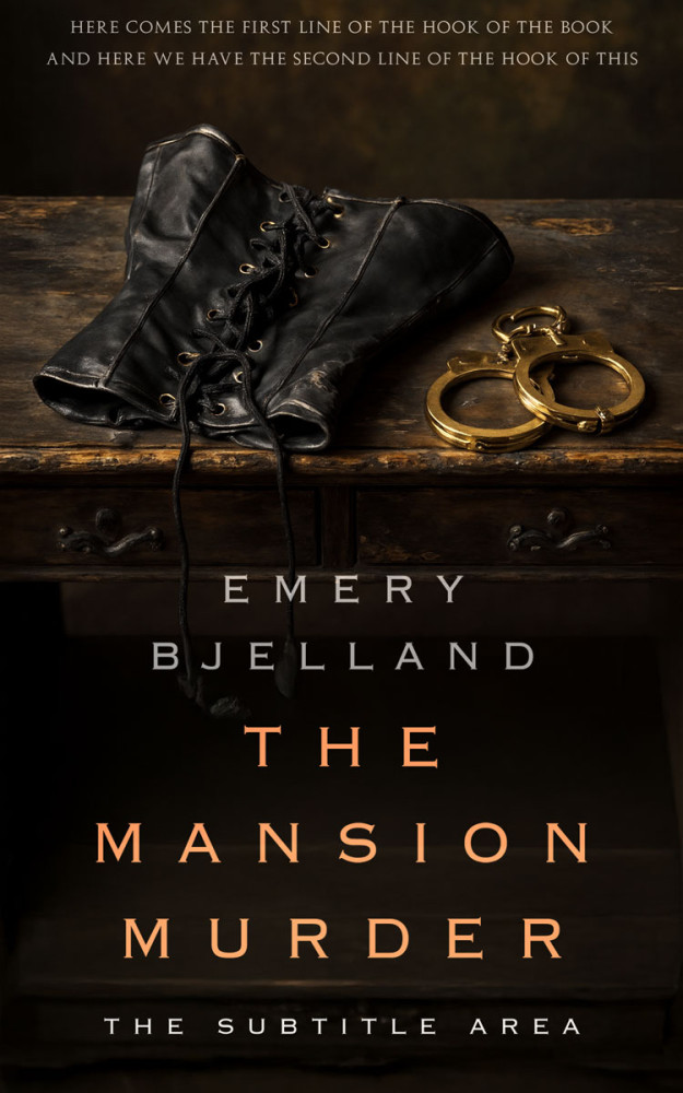 Front view of Night Rider #335705 - Premade Erotica Book Cover