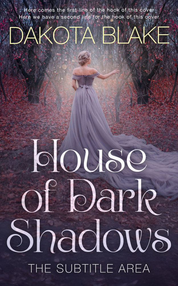 Front view of Ship Gray #34496 - Premade Fantasy Book Cover