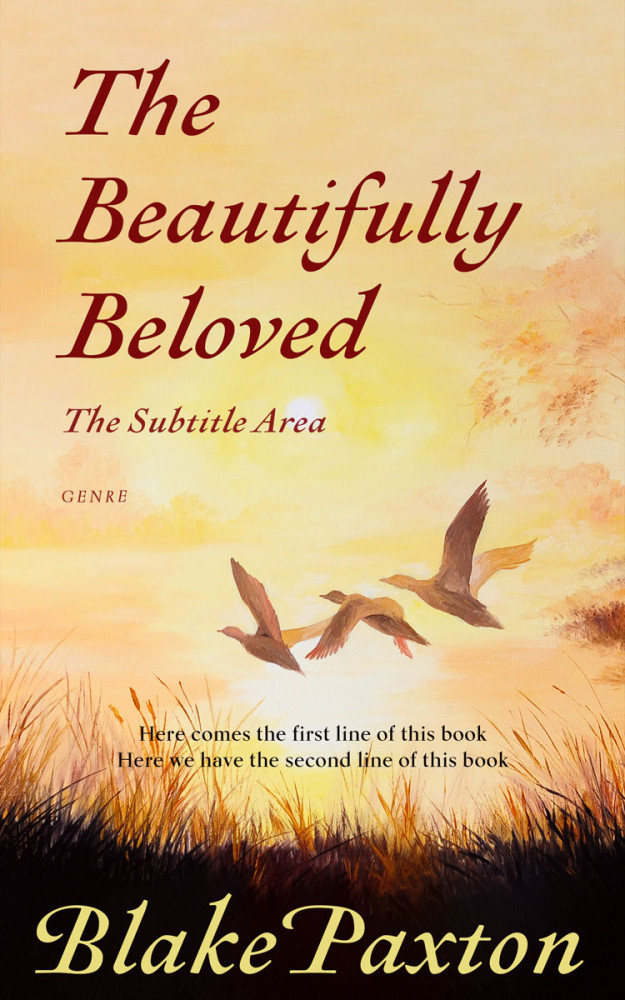 Front view of Chalky #50063 - Premade Literary Fiction Book Cover