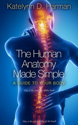 3D mockup of Chathams Blue #209 - Premade Health & Mind & Body Book Cover