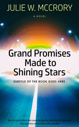 3D mockup of Firefly #219 - Premade Mystery & Thriller & Suspense Book Cover