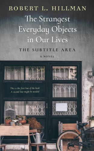 3D mockup of Cape Cod #382 - Premade Literary Fiction Book Cover