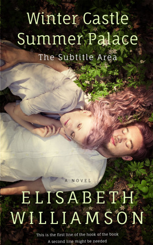 3D mockup of Akaroa #418 - Premade Romance Book Cover