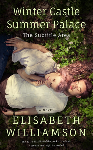 3D mockup of Rodeo Dust #419 - Premade Romance Book Cover