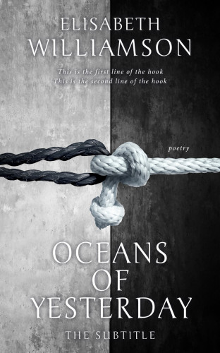 3D mockup of Silver Sand #602 - Premade Poetry Book Cover