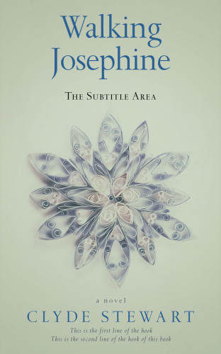 3D mockup of Clay Ash #677 - Premade Poetry Book Cover