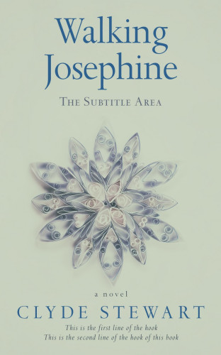 3D mockup of Clay Ash #0678 - Premade Poetry Book Cover | BookCoverZone