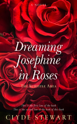 3D mockup of Aubergine #690 - Premade Romance Book Cover