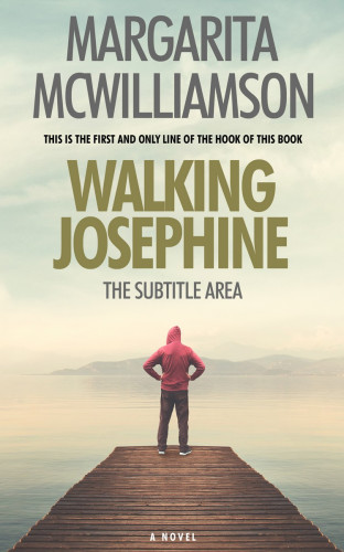 3D mockup of Tana #718 - Premade Teen & Young Adult Book Cover