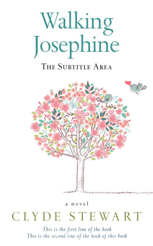 3D mockup of Cavern Pink #735 - Premade Romance Book Cover