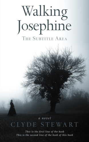 3D mockup of Shark #739 - Premade Mystery & Thriller & Suspense Book Cover